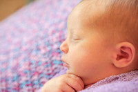 Kempisty Newborn Session 2016 Downloads