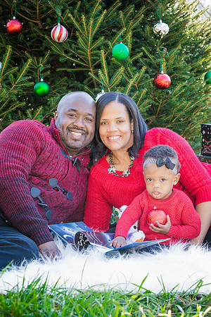 Roberts_Xmas_2015 (109 of 142)