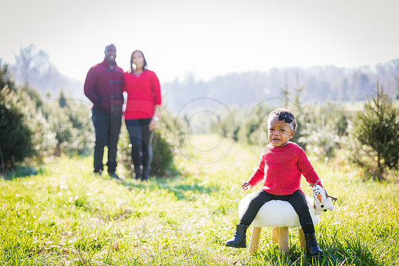 Roberts_Xmas_2015 (138 of 142)