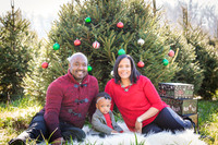 Roberts_Xmas_2015 (12 of 142)