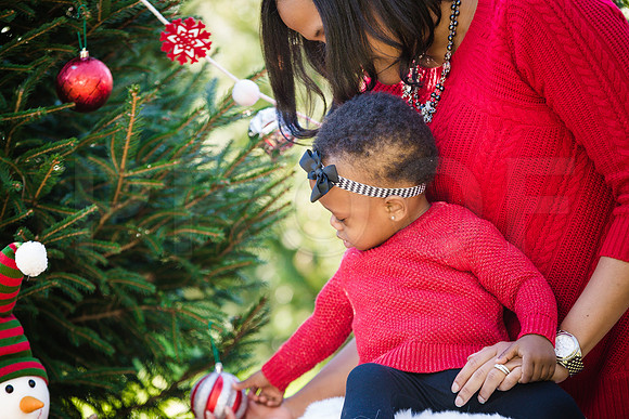Roberts_Xmas_2015 (39 of 142)