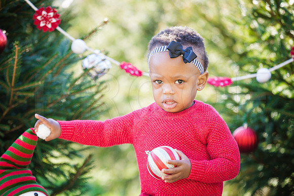 Roberts_Xmas_2015 (49 of 142)