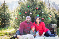 Roberts_Xmas_2015 (2 of 142)
