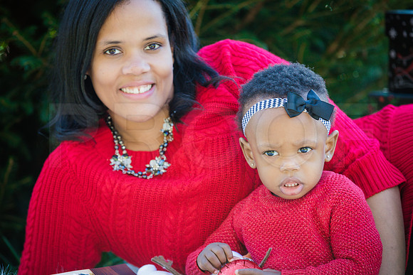 Roberts_Xmas_2015 (107 of 142)