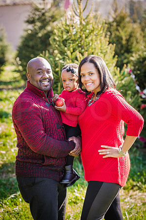 Roberts_Xmas_2015 (83 of 142)
