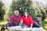 Roberts_Xmas_2015 (6 of 142)