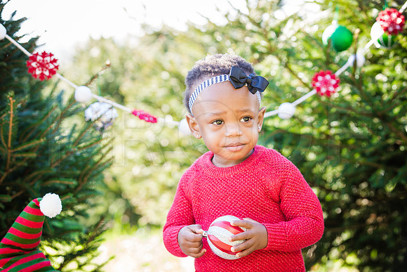 Roberts_Xmas_2015 (51 of 142)