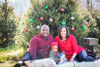 Roberts_Xmas_2015 (3 of 142)
