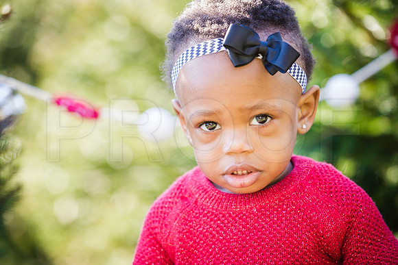 Roberts_Xmas_2015 (53 of 142)