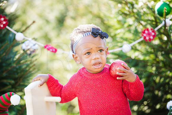 Roberts_Xmas_2015 (60 of 142)