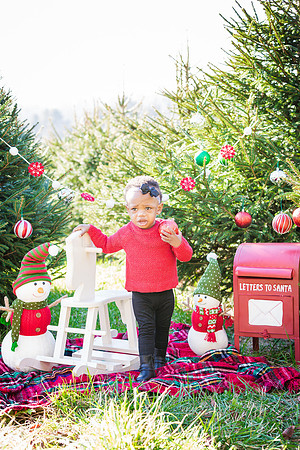 Roberts_Xmas_2015 (61 of 142)