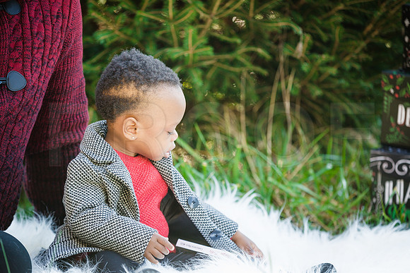 Roberts_Xmas_2015 (8 of 142)