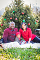 Roberts_Xmas_2015 (4 of 142)