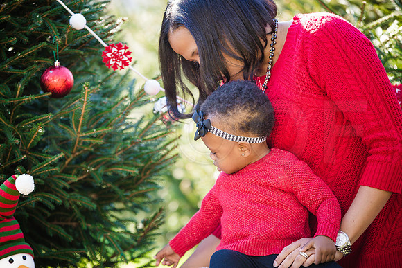 Roberts_Xmas_2015 (38 of 142)