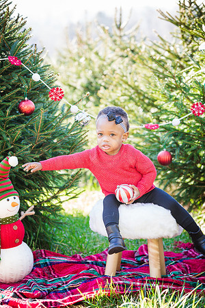 Roberts_Xmas_2015 (43 of 142)