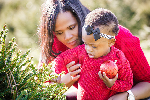 Roberts_Xmas_2015 (95 of 142)