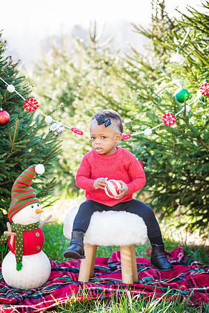 Roberts_Xmas_2015 (45 of 142)