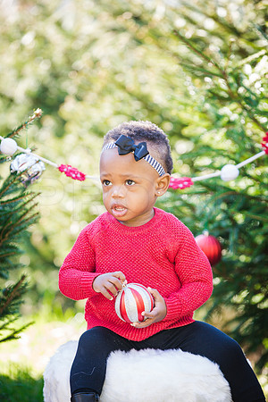 Roberts_Xmas_2015 (44 of 142)