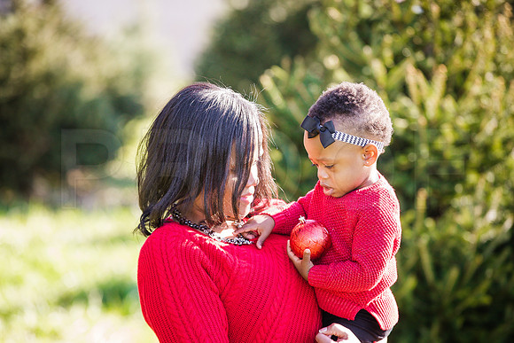 Roberts_Xmas_2015 (92 of 142)