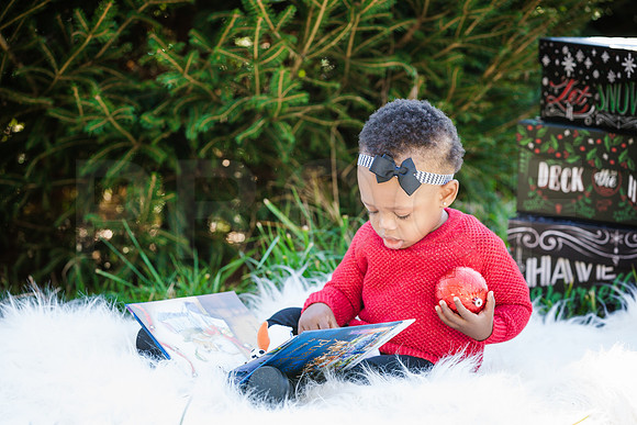 Roberts_Xmas_2015 (101 of 142)