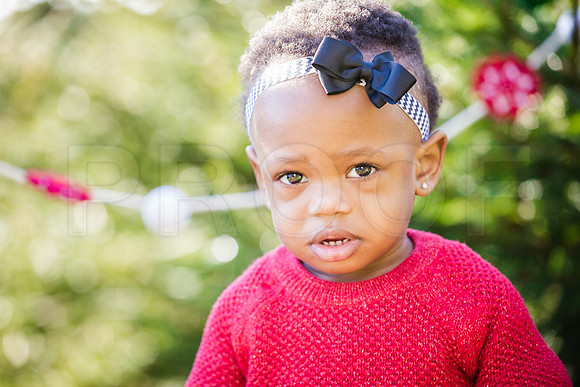 Roberts_Xmas_2015 (56 of 142)