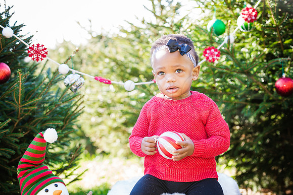 Roberts_Xmas_2015 (55 of 142)