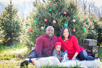 Roberts_Xmas_2015 (1 of 142)