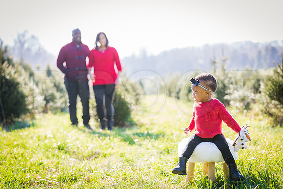 Roberts_Xmas_2015 (137 of 142)