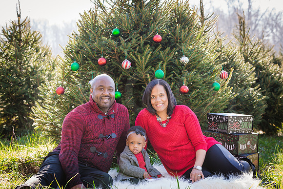 Roberts_Xmas_2015 (15 of 142)