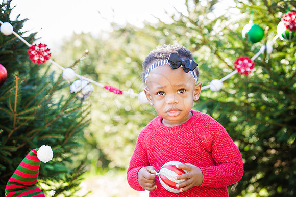 Roberts_Xmas_2015 (52 of 142)