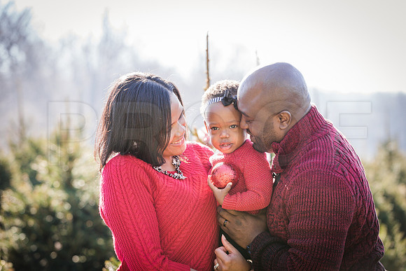 Roberts_Xmas_2015 (70 of 142)