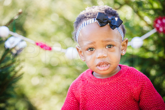 Roberts_Xmas_2015 (50 of 142)