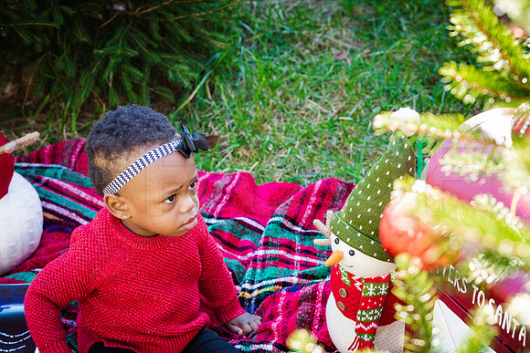 Roberts_Xmas_2015 (125 of 142)