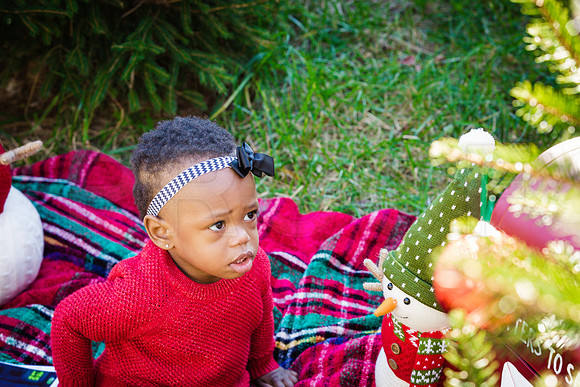 Roberts_Xmas_2015 (124 of 142)