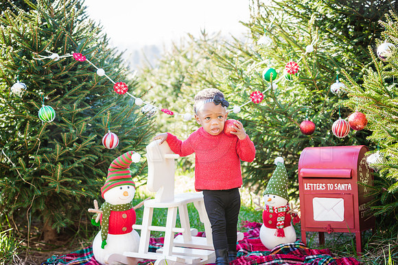 Roberts_Xmas_2015 (59 of 142)