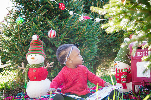 Roberts_Xmas_2015 (127 of 142)