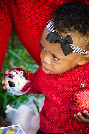 Roberts_Xmas_2015 (115 of 142)