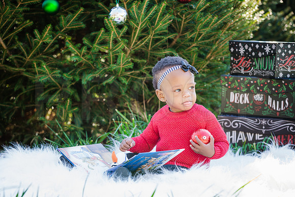 Roberts_Xmas_2015 (103 of 142)