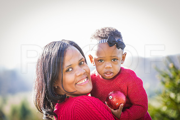 Roberts_Xmas_2015 (68 of 142)