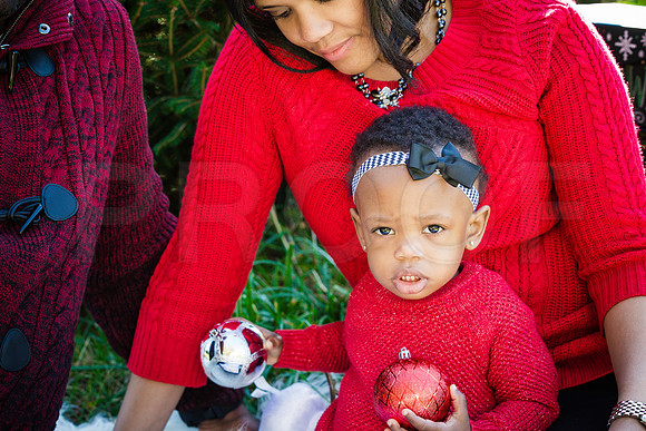 Roberts_Xmas_2015 (116 of 142)