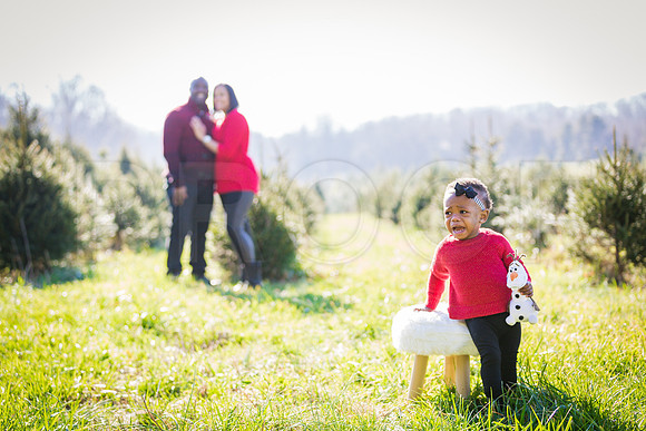Roberts_Xmas_2015 (142 of 142)