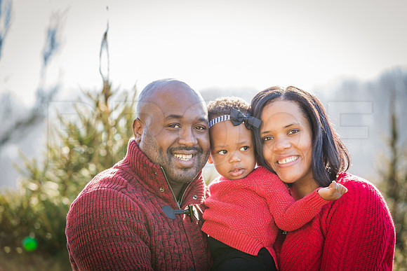 Roberts_Xmas_2015 (30 of 142)