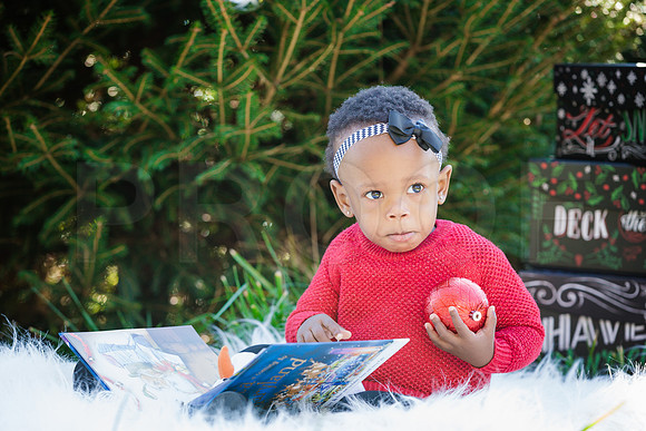 Roberts_Xmas_2015 (102 of 142)