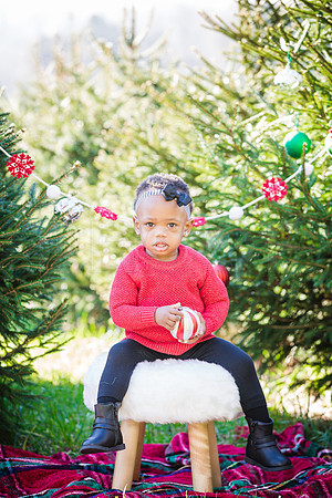 Roberts_Xmas_2015 (42 of 142)