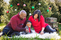 Roberts_Xmas_2015 (17 of 142)