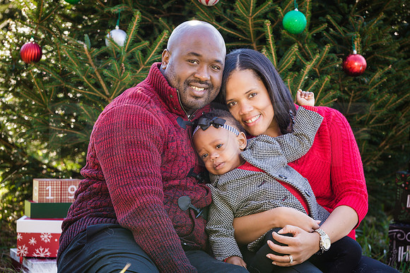 Roberts_Xmas_2015 (22 of 142)