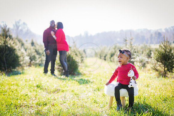 Roberts_Xmas_2015 (141 of 142)