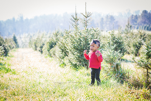 Roberts_Xmas_2015 (97 of 142)