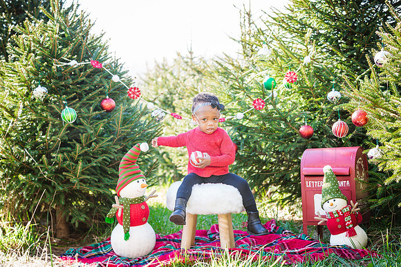 Roberts_Xmas_2015 (46 of 142)