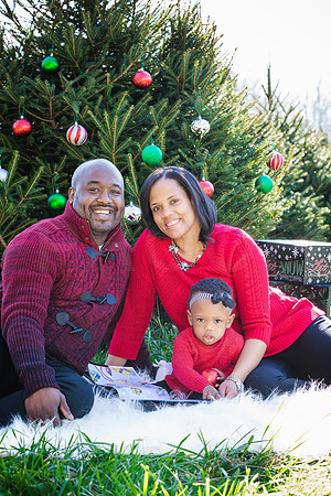 Roberts_Xmas_2015 (113 of 142)